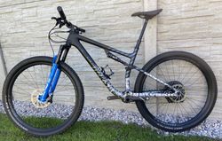 S-Works Epic Evo 2021 "L"