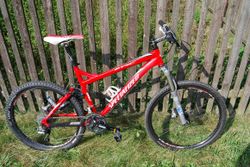 Specialized Epic