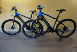 Lectron Esconder MFX