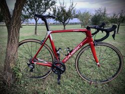 Basso Diamante vel. 56
