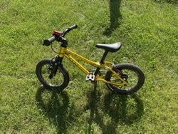 Rascal 14”