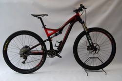 Specialized Stumpjumper 29 Carbon