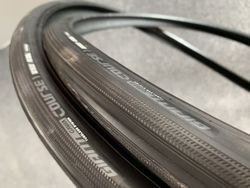 Giant gavia 25