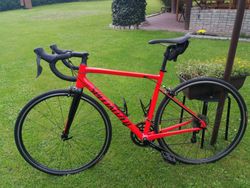 Specialized allez