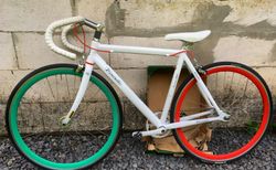 Pinarello Lungavita Fixie/Singlespeed