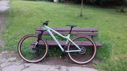 Kross Dust 1.0 2020