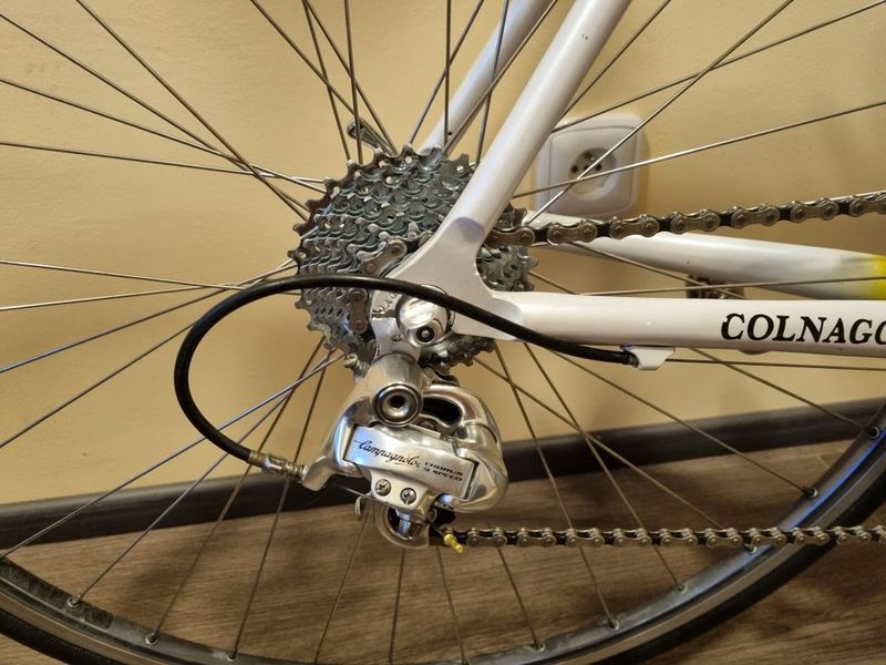 COLNAGO Start, Campagnolo Chorus, vel. 50s