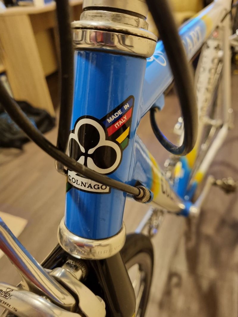 COLNAGO Start, Campagnolo Chorus, vel. 50s