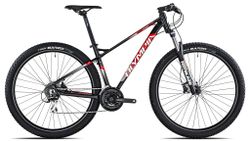 Olympia Cobra 2023 - Více barev