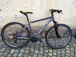 Olpran Harrier