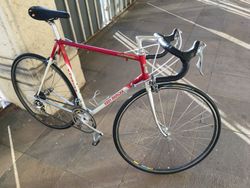 Eddy Mercx corsa extra