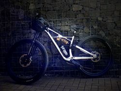 S-WORKS Enduro 2019 custom TOP