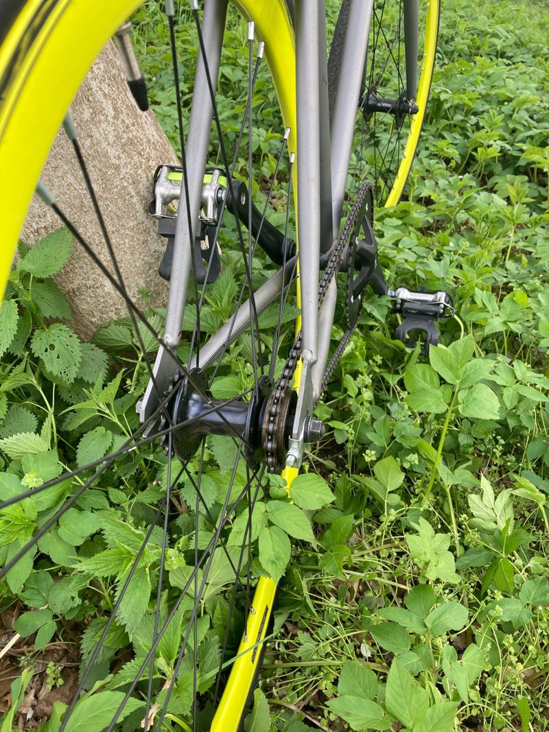 Prodám Městské kolo singlespeed/fixie
