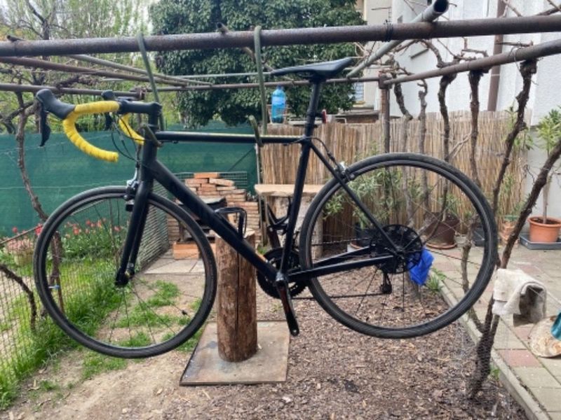Canyon endurace AL
