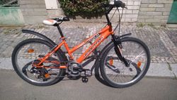 Leader Fox Buffalo 24"dívčí MTB