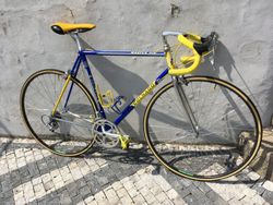 Colnago Master Buckler