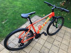 Kellys Madman 10