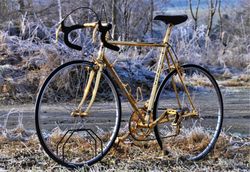 Colnago Master Gold Plated Campagnolo C Record