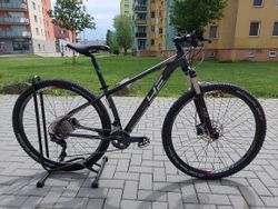 4Ever Ibiza 29 Lady 2022, vel. 15,5"