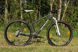 Specialized Fate Comp Carbon 29 2013