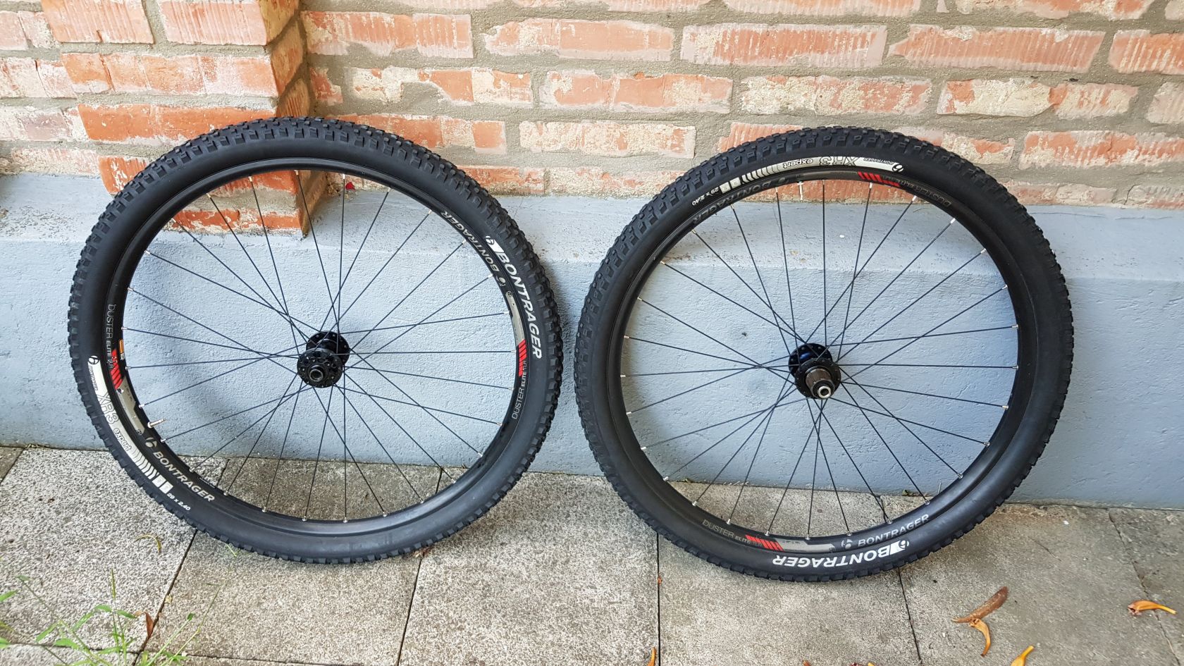 Kola Bontrager Duster Elite TLR 29 