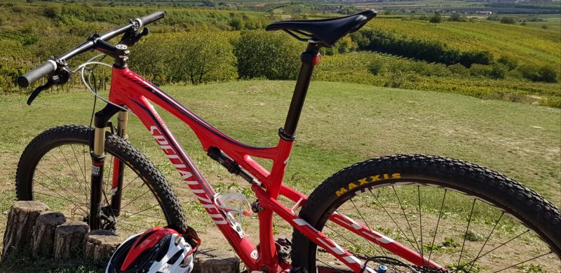 Specialized Epic Comp FSR 29