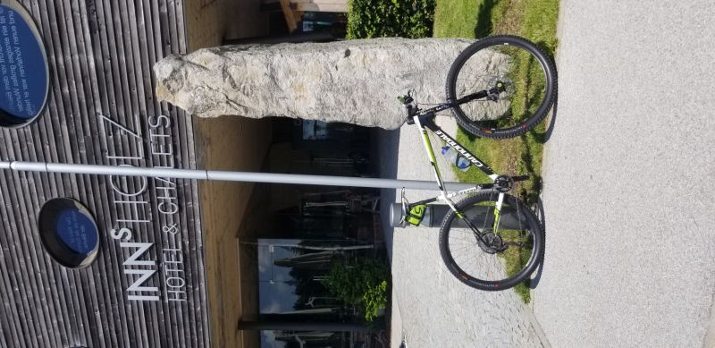 Cannondale F29 Lefty