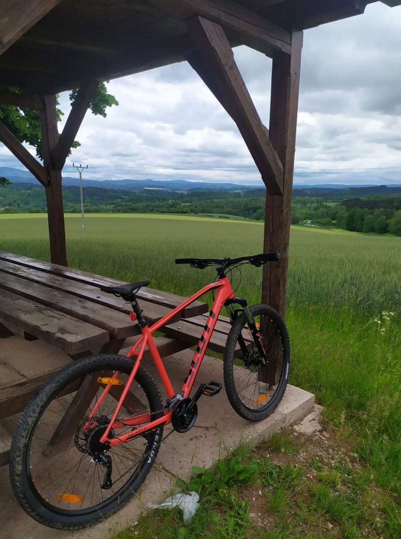 Scott aspect 950 sales xxl