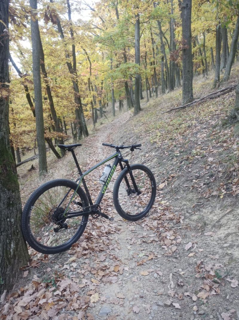 Specialized Epic Comp Carbon HT 2017
