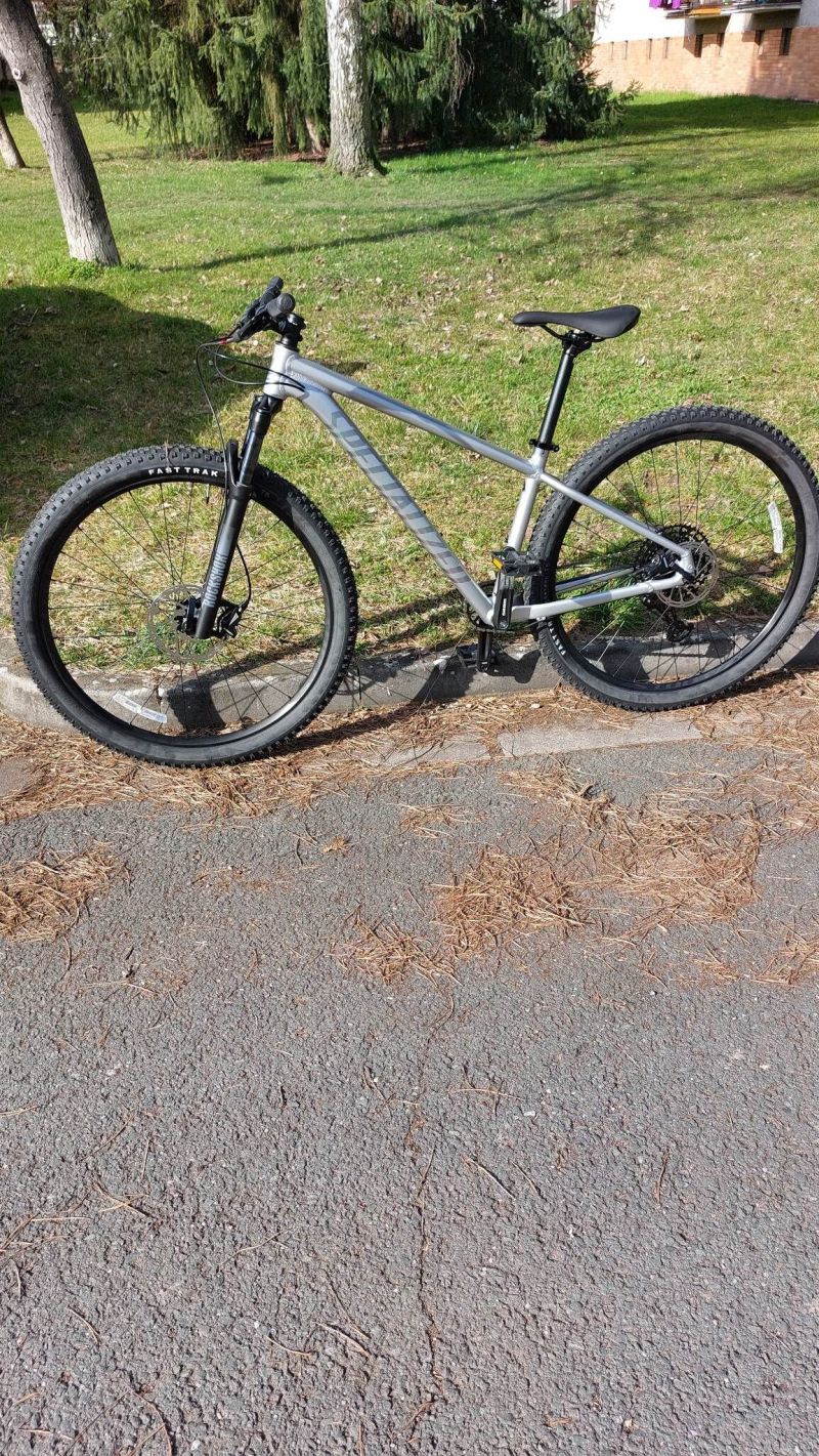 Specialized Rockhopper Expert 29