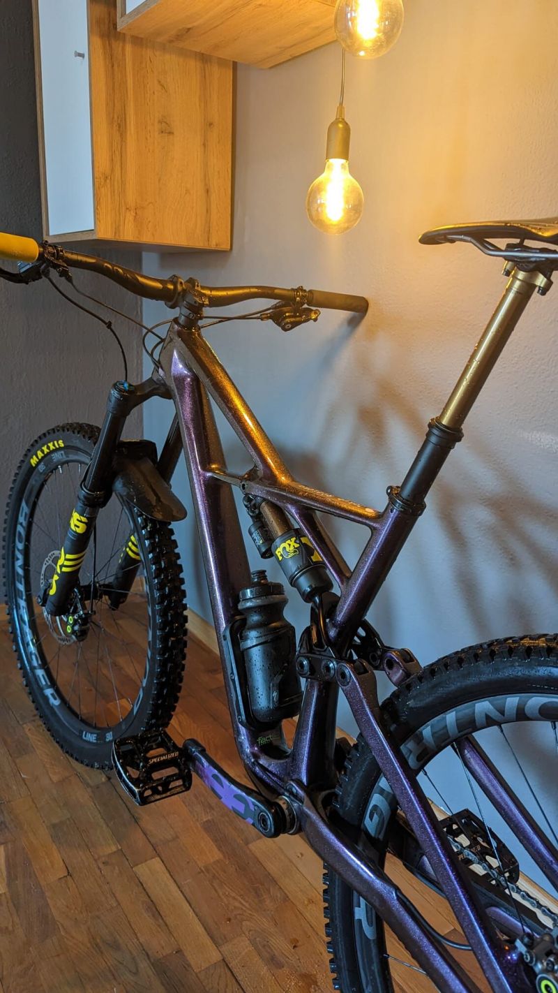 S works Enduro 2019