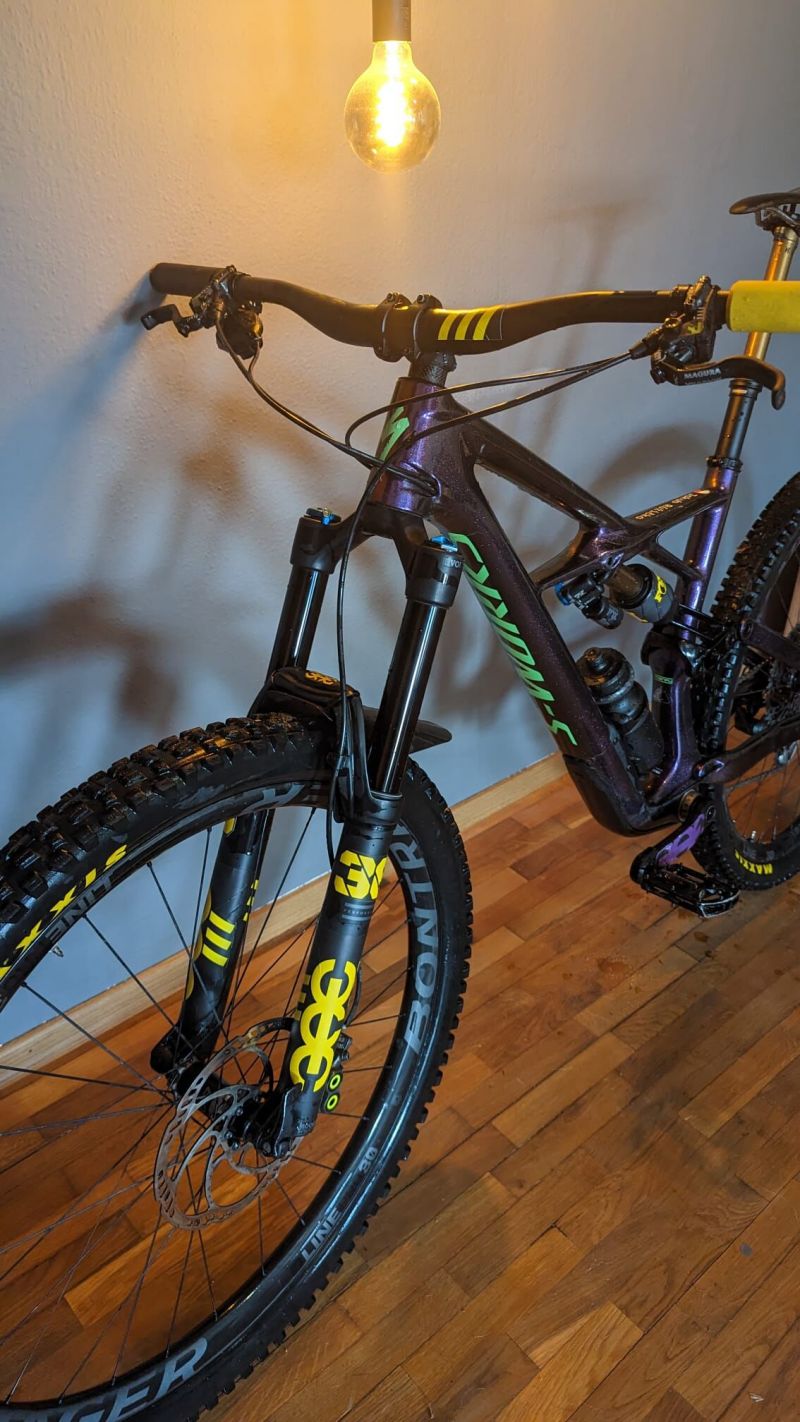 S works Enduro 2019