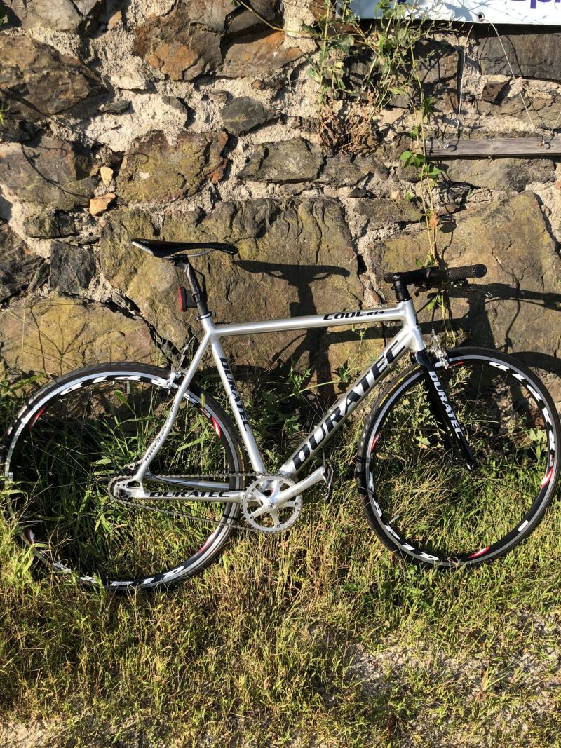 Duratec Singlespeed