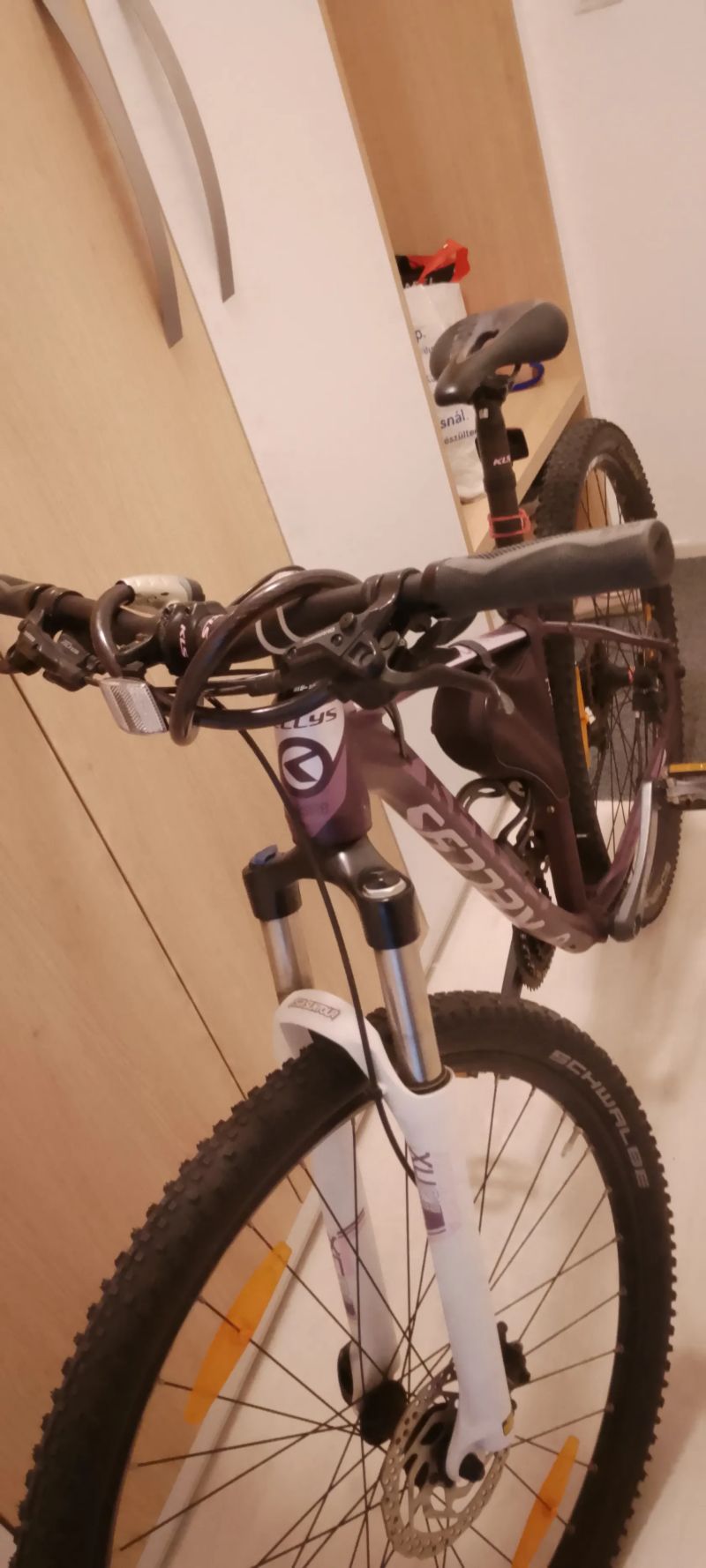 Kellys Desire30
