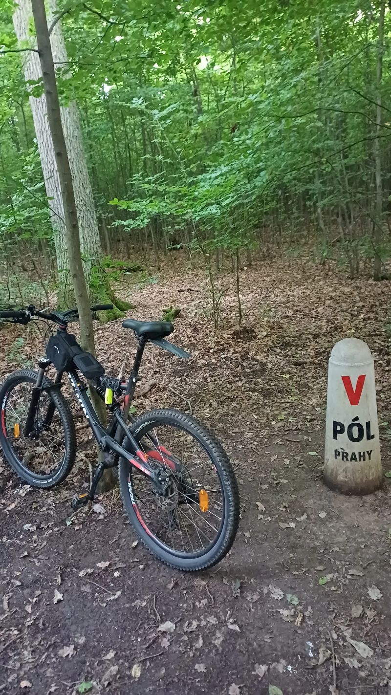 Rockrider 520s