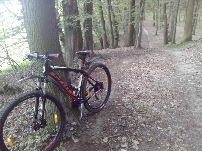 Scott aspect 930