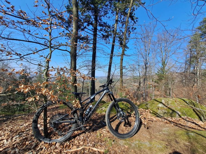 Specialized Stumpjumper EVO Comp