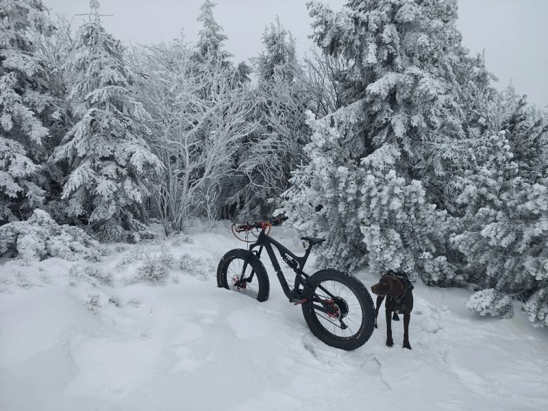 Fatbike