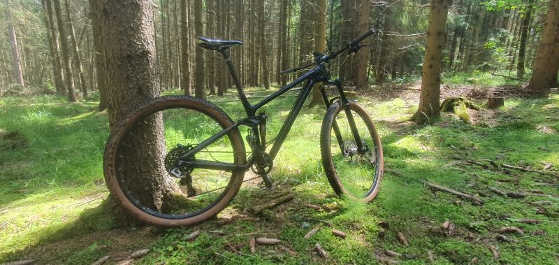 Trek fuel ex 9.9 , 29 XX1