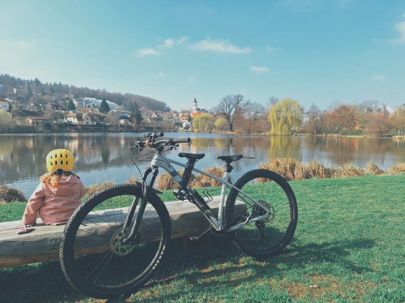 Trek Procaliber 8