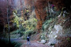 French Freeride Lines