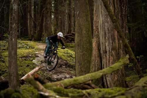 The Art of the MTB Photograph