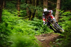 Steve Peat - Won't Back Down