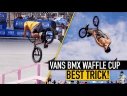 Vans BMX Waffle Cup