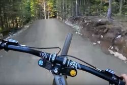 Nico Vink POV 2019