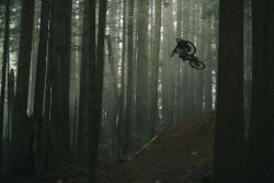 Vanderham - trail Boss